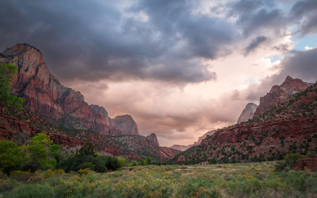 Patterns in the Stone: Hiking the Watchman Trail