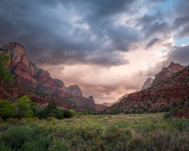 Fine art landscape photograph of The Watchman mountain in Zion National Park at sunset, with the Virgin River flowing in the foreground and golden light hitting the red sandstone cliffs.